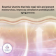 Anti ageing young forever face serum