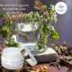 Neem Tulsi Cream
