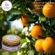 Orange Face Mask