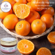 Orange Exfoliator