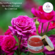 Rose Exfoliator