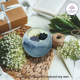 Matka Glass Jar Candle